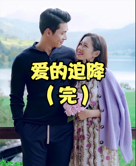 爱的迫降海报