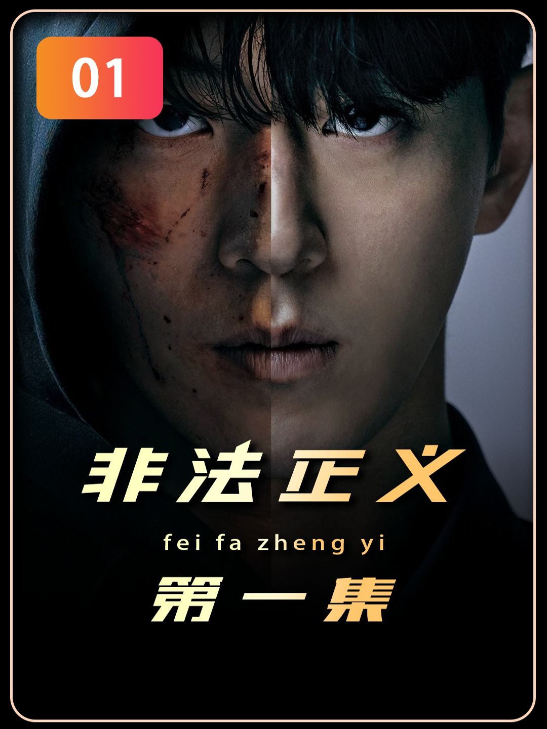 非法正义
