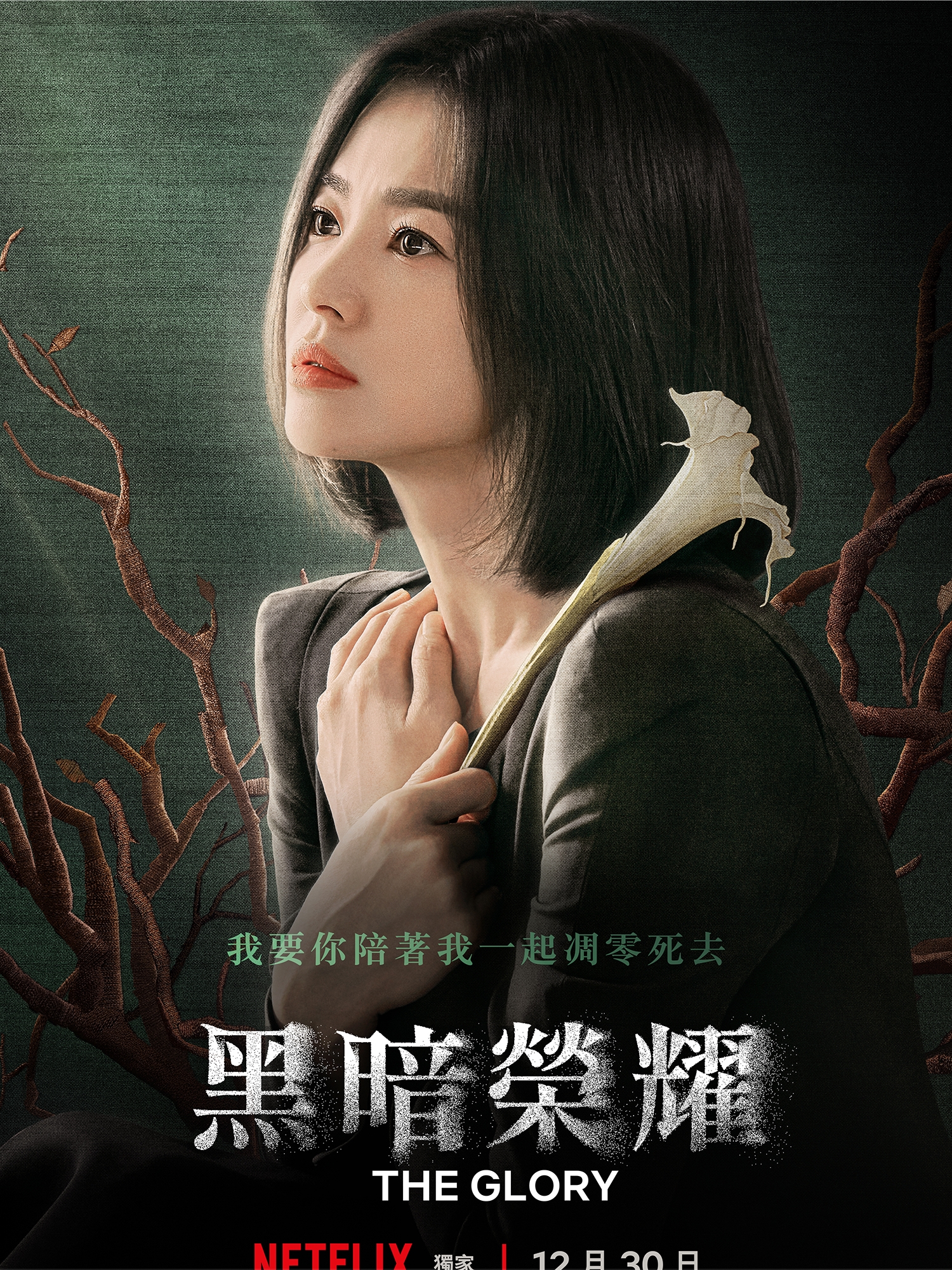 Kemuliaan gelap海报
